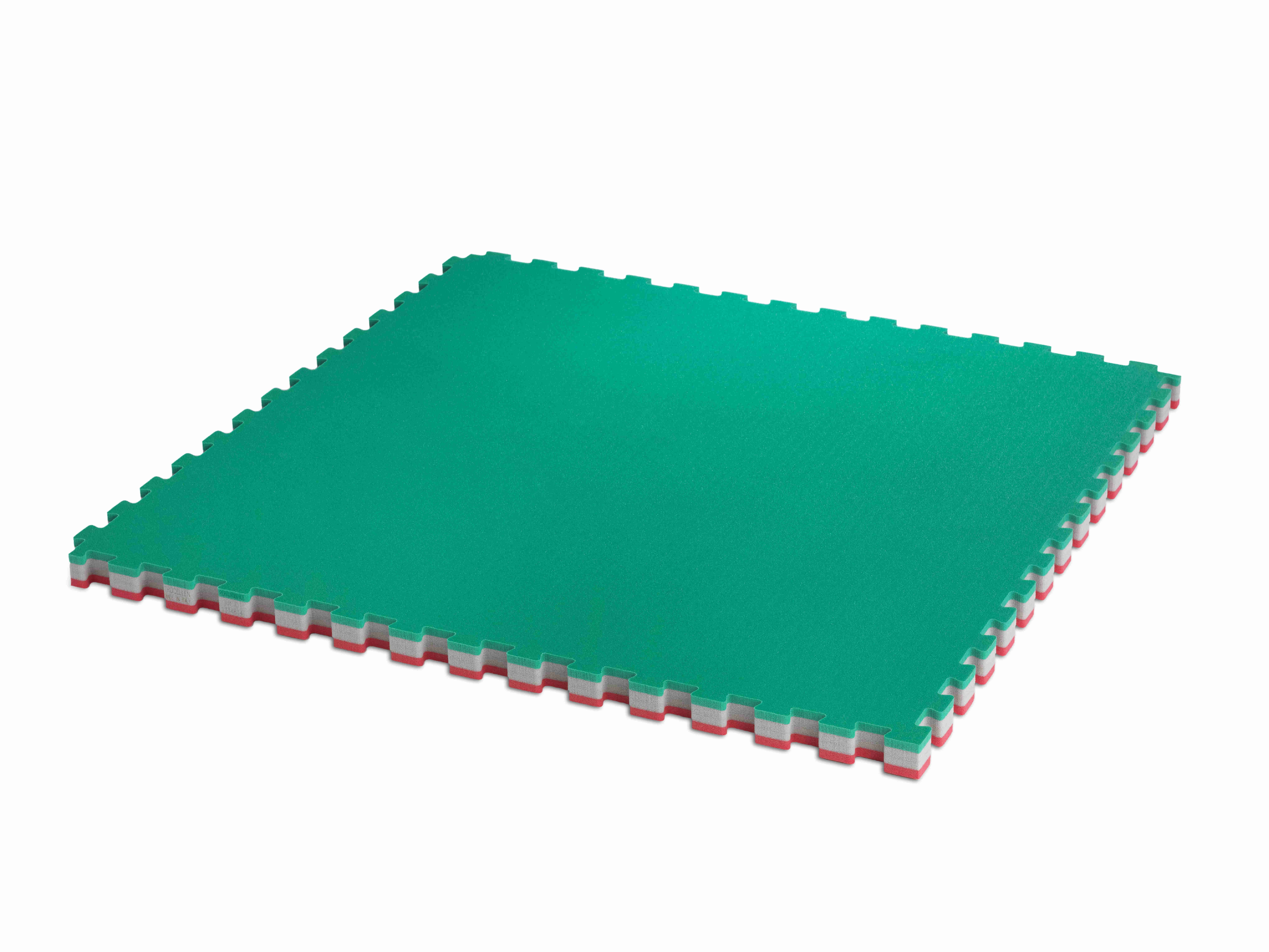 Tatami Arts Martiaux Scolaire - épaisseur 4 cm - dalle 100 x 100 cm - prix au m² (REF JU-ENTS.1.2) Tatami Arts Martiaux Scolaire - épaisseur 4 cm - dalle 100 x 100 cm - prix au m² (REF JU-ENTS.1.2)