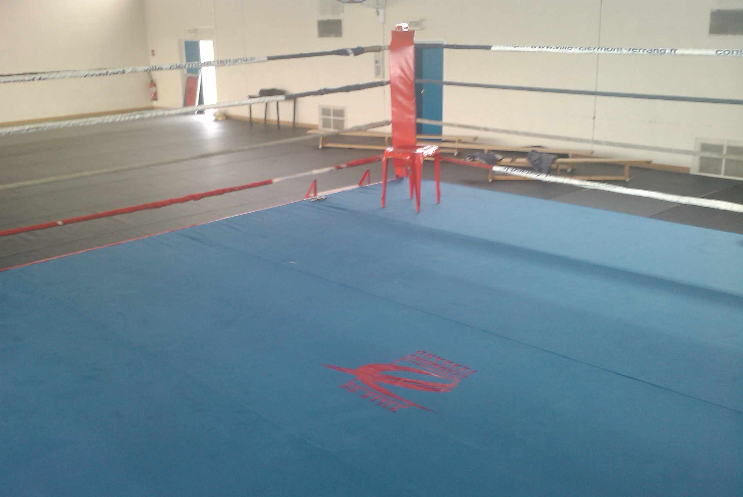 Toile PVC pour Ring de Boxe - 460 x 460 cm (REF BOX-9.4)